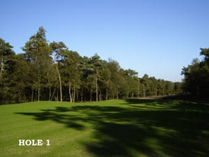 Golfbaan het Woold
